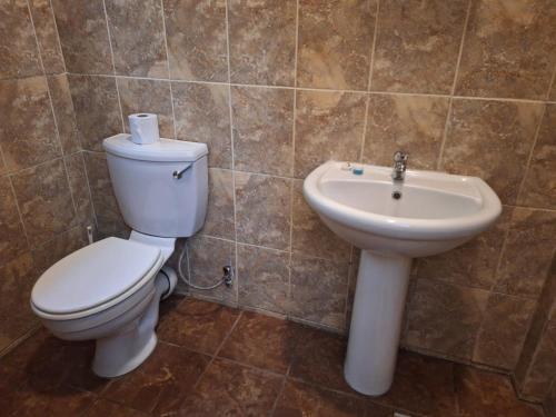 a bathroom with a toilet and a sink at Mount Festiva Lodge in Akasia