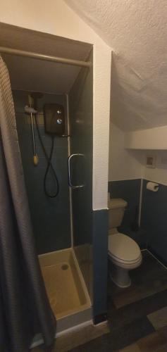 a small bathroom with a toilet and a shower at South Beach Kings Promenade Hotel in Blackpool
