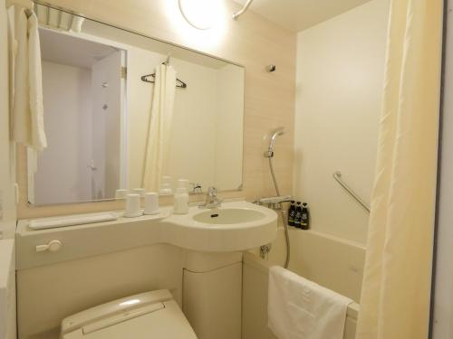 a bathroom with a sink and a toilet and a mirror at Business Hotel Goi Hills in Ichihara