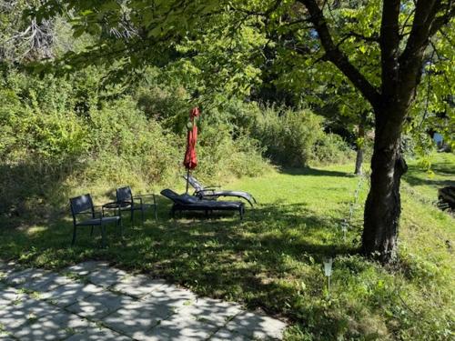 a park with two benches and an umbrella and a tree at Ferienhaus Maximilian in Gamlitz