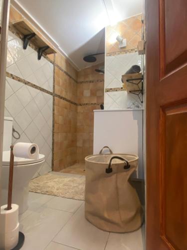 a bathroom with a shower and a toilet and a door at Studio Smart&Cosy in Porto-Vecchio