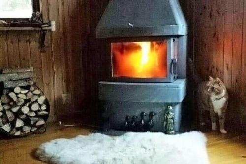 a cat standing in front of a fireplace at ORE758-Ramsberg-Persbovaegen-18 in Ramsberg