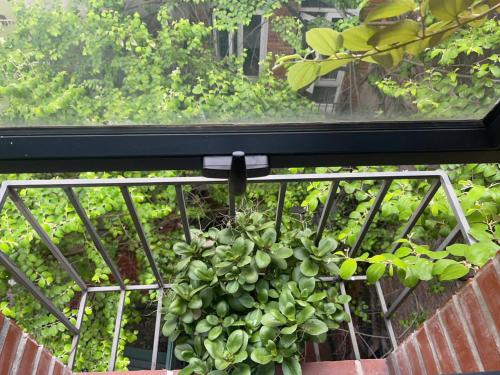 Ein Garten an der Unterkunft Hanoi Old Quarter Hotel and Spa