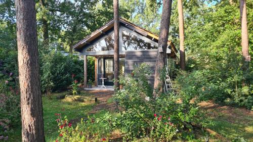 a small cabin in the woods with trees at Stijlvol Tiny House in de natuur in Enschede