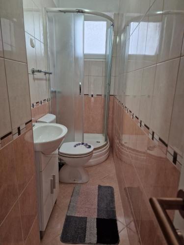 a bathroom with a toilet and a sink and a shower at Apartments by the sea Sveti Juraj, Senj - 2399 in Sveti Juraj