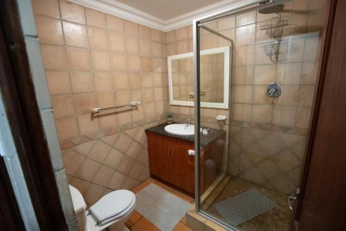 a bathroom with a shower and a toilet and a sink at Weavers Nest Guesthouse in Modimolle