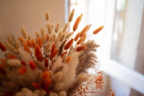 a vase filled with dried flowers in a window at Residence Acropoli in Siracusa