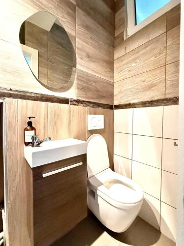 a bathroom with a toilet and a sink and a mirror at Spacious duplex in the center of Bastogne Onikos rooms in Bastogne