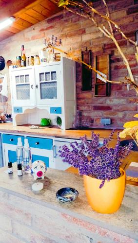 a kitchen with a vase of flowers on a counter at Holiday Home Paunovaca in Erdut