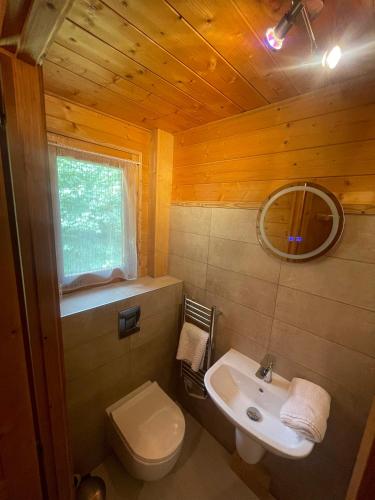 Salle de bains dans l'établissement Chalet Chocolat Chatel