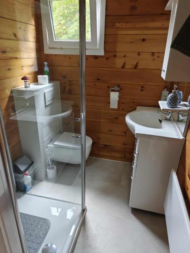 a bathroom with a toilet and a sink at Chalet Dennerust in Durbuy