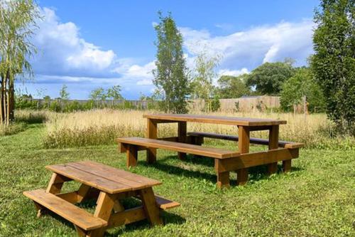 two picnic tables sitting in the grass in a field at Inviting 1-Bed Cabin in Newmarket in Newmarket