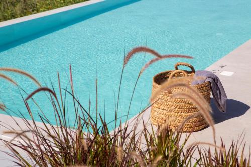 a basket sitting next to a swimming pool at Cloud Nine Villa in Évyiros