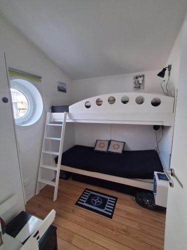 a small room with a bunk bed and a ladder at Schleiverliebt 52 in Schleswig