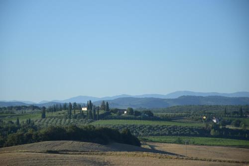 a view of the rolling hills and trees at Appartamento Crete Senesi in Castelnuovo Berardenga