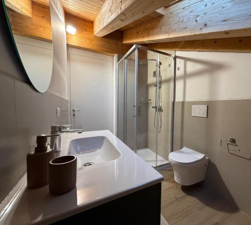 a bathroom with a sink and a shower and a toilet at Casa Alma in Castelfranco Veneto