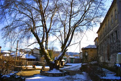 a tree in the snow next to a building at Gaia Guesthouse in Dilofo