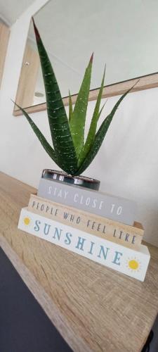 Certifikát, hodnocení, plakát nebo jiný dokument vystavený v ubytování Devrons Sunshine Retreat