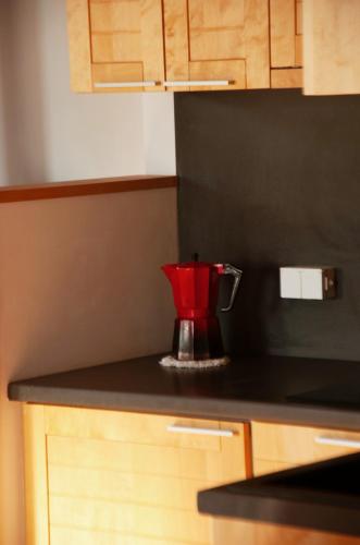 a red blender sitting on a counter in a kitchen at Mokaito Namai in Sadžiūnai