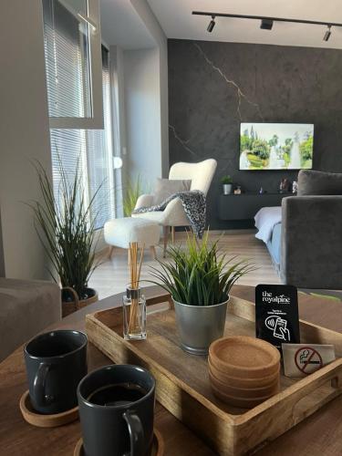 Χώρος καθιστικού στο The Royal Pine Apartment Mavrovo