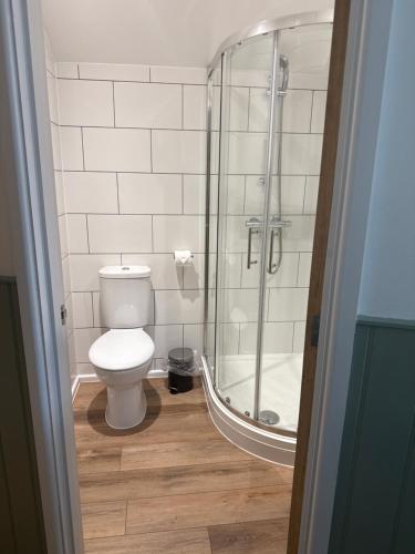 a bathroom with a toilet and a glass shower at The Annexe at Kirtonia in Lydford