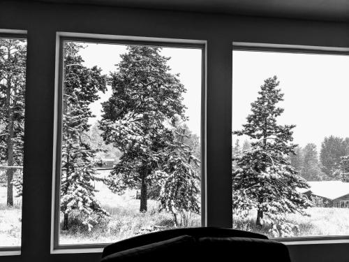 a window with a view of a snow covered tree at Near Red Rocks with Hot Tub, Fire Pit and Views in Indian Hills