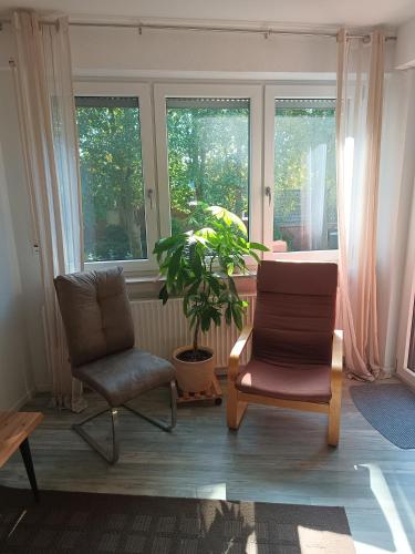 a living room with a chair and a plant and windows at Zimmer am Hermannsweg in Hörstel