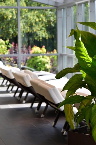 Un jardín fuera de Phönix Hotel