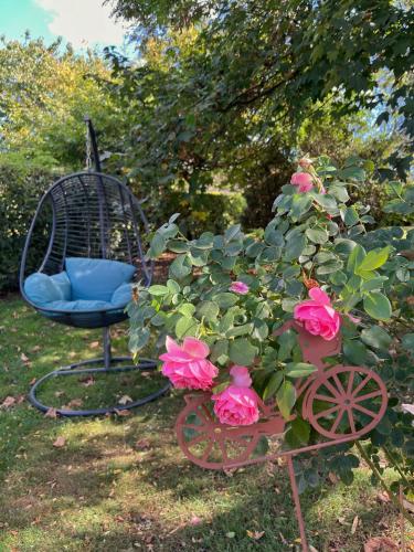 a chair and a flower pot with pink roses at Au petit bonheur de séraphine in Saint-Aubin