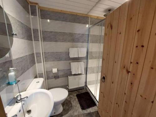 a bathroom with a sink and a toilet and a mirror at Alpaca cabin-mountain view-hot tub-rural retreat in Llanbrynmair