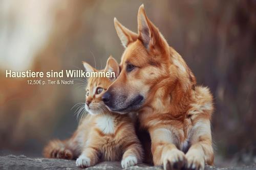 a dog and a cat laying next to each other at Inselhotel kleiner Bodden in Buschvitz