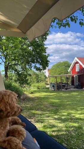 a teddy bear looking out a window at a red barn at Cozy house in the countryside in Torestorp