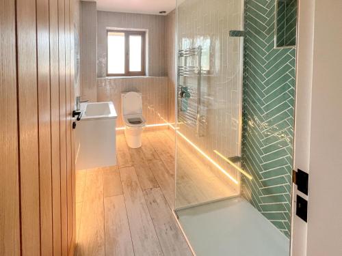 a bathroom with a toilet and a sink and a shower at Bod Eithin in Harlech