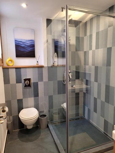 a bathroom with a toilet and a shower at Immeuble du Mausolée in Rabat