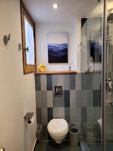 a bathroom with a toilet and a shower at Immeuble du Mausolée in Rabat