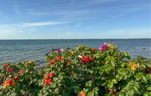 a bush with red flowers in front of the ocean at Pet Friendly Home In Sydals With Wifi in Sønderby