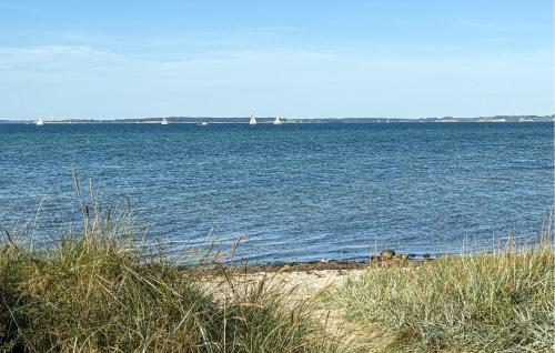 a large body of water with ships in the distance at Pet Friendly Home In Sydals With Wifi in Sønderby