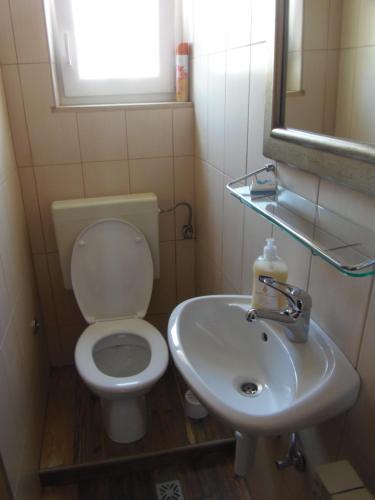 a bathroom with a toilet and a sink at Apartments Skipper in Seget Vranjica