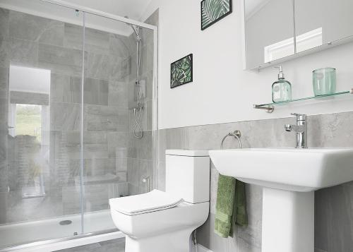 a bathroom with a toilet and a sink and a shower at Clear Sky Lodge Park in Falstone