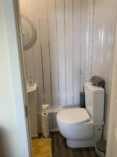 a small bathroom with a toilet and a sink at 155 studio 6 - Uplands - Smart Tv in Swansea