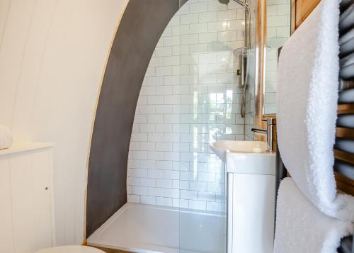 a bathroom with a shower and a sink at Apple Mount Retreat in Lavenham