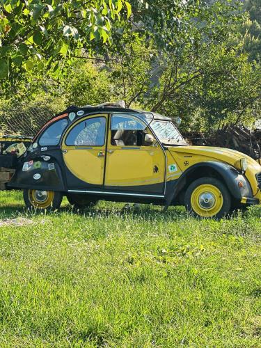a small yellow and black car parked in the grass at Breeze of the Drin Guesthouse Camping in Vau i Dejës