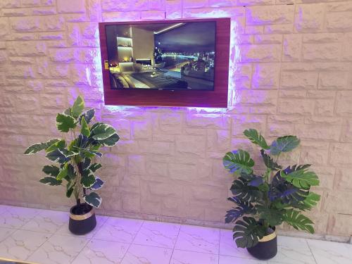 two potted plants in front of a wall with a mirror at Hotel Haven Suite in Lahore