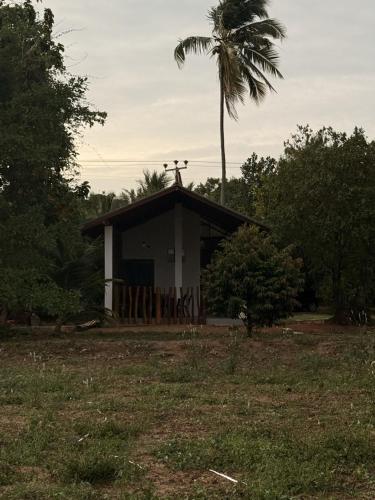 Κήπος έξω από το Diamond Mount Villa