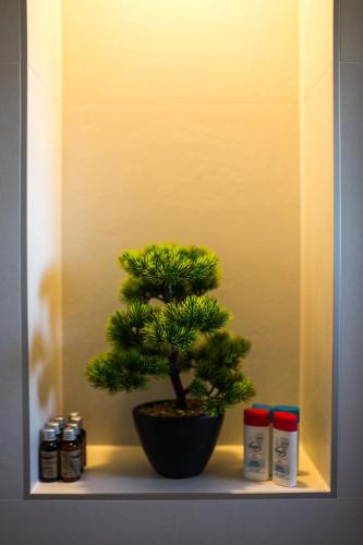 a bonsai tree sitting on a shelf with spices at Sky9 Apartment in Odorheiu Secuiesc