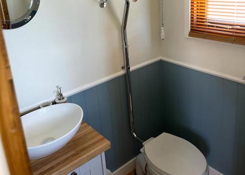 a bathroom with a sink and a toilet at Bainbridge Ings in Hawes