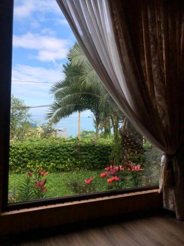 a window with a view of a garden with a palm tree at Chalet Ochos Qokhi in Kvariati