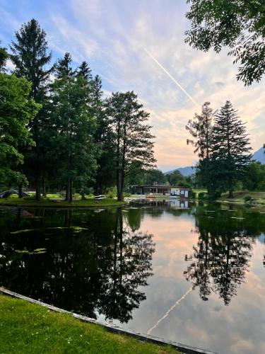 a view of a lake with trees and a house at Chloe's Apartments in Gloggnitz