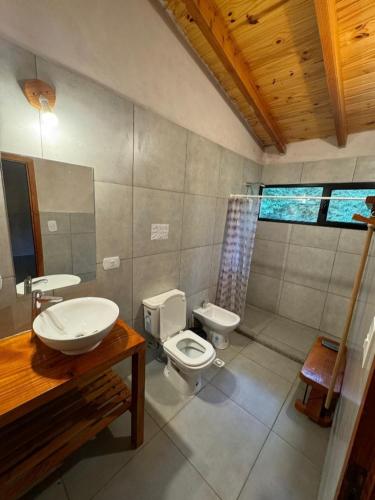 a bathroom with a sink and a toilet and a mirror at PUERTO HOSTEL in El Hoyo