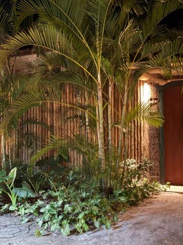 Un jardín fuera de Casa Ettore Mollo - Trancoso